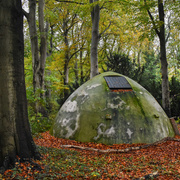 In Transit (Clear Vinyl)