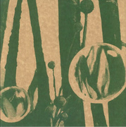 Through Friendly Waters (20th Anniversary Edition)