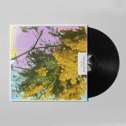 Into Dust (Still Falling)