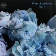 Pop Ambient 2018 (180g)