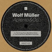 The Orange Place (Wolf Muller Remixes)