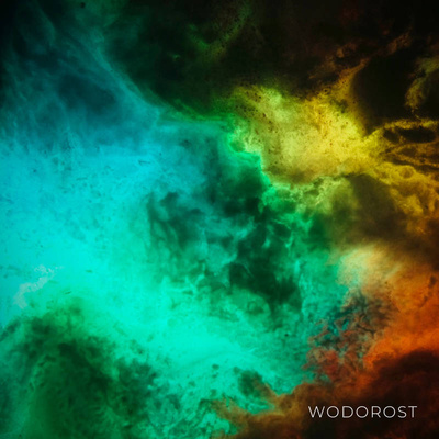 Wodorost