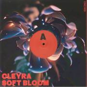 Soft Bloom