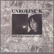 Now Wait For The Last Year