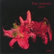 Pop Ambient 2021