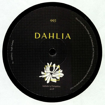 Dahlia 995