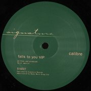 Falls To You VIP / End Of Meaning