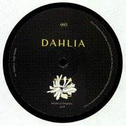 Dahlia 995