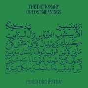 The Dictionary Of Lost Meanings (Gatefold)
