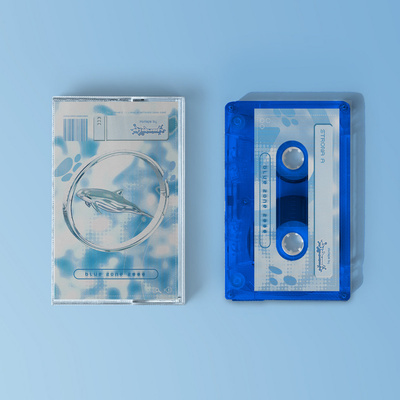 Blue Zone 2000 mixtape (Regular Edition Cassette)