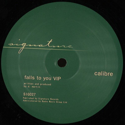 Falls To You VIP / End Of Meaning