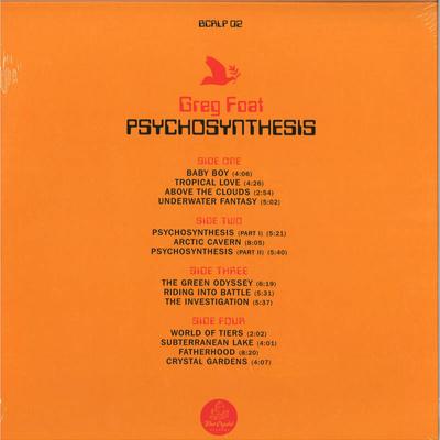 Psychosynthesis (Gatefold)