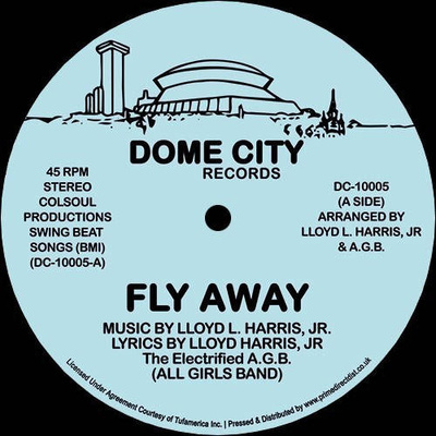 Fly Away (Disco Version) (Record Store Day 2022)