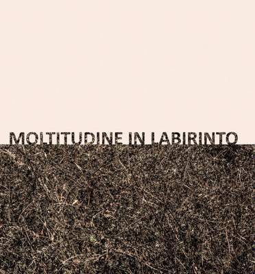 Moltitudine In Labirinto