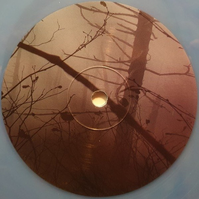 Metaphors For Things (gatefold) transparent smokey vinyl