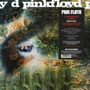 A Saucerful Of Secrets (180g)