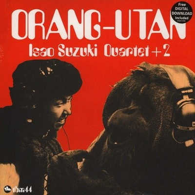 Orang-Utan