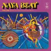 Naya Beat Volume 2: South Asian Dance And Electronic Music 1988-1994 (Gatefold)