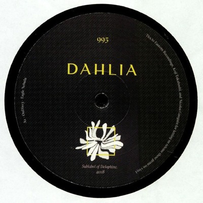 Dahlia 995