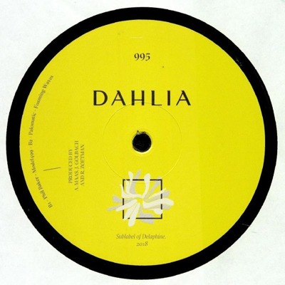 Dahlia 995