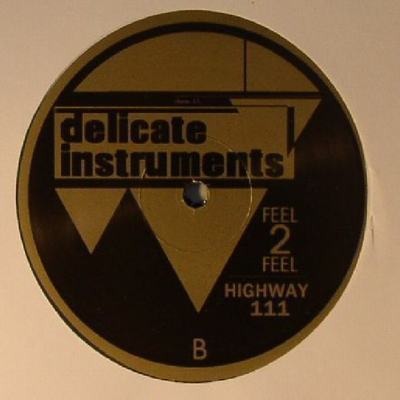 Delicate Instruments EP