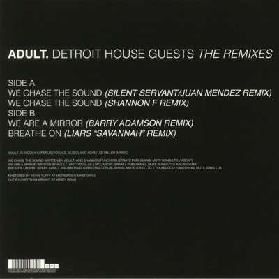 Detroit House Guests: The Remixes