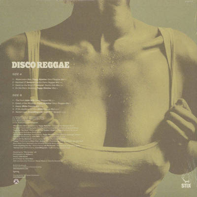 Disco Reggae Vol. 2