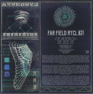 Far Field (180g)