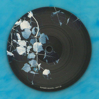 Frozen Rose (Blue Vinyl)