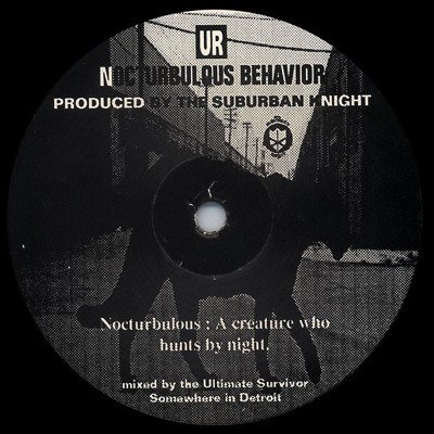 Nocturbulous Behavior