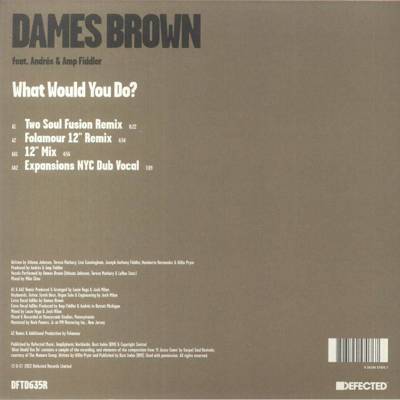 What Would You Do? (Remixes)